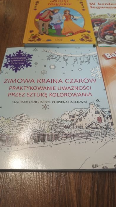 Zestaw książeczek dla dzieci + kolorowanka artystyczna