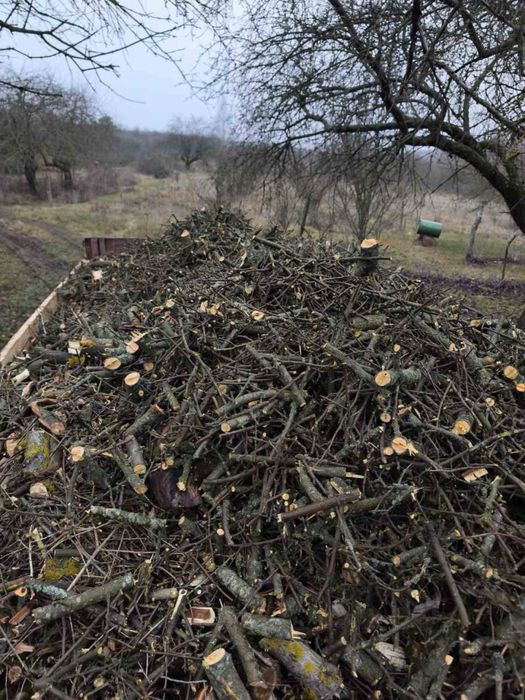 Продам дрова и щепу