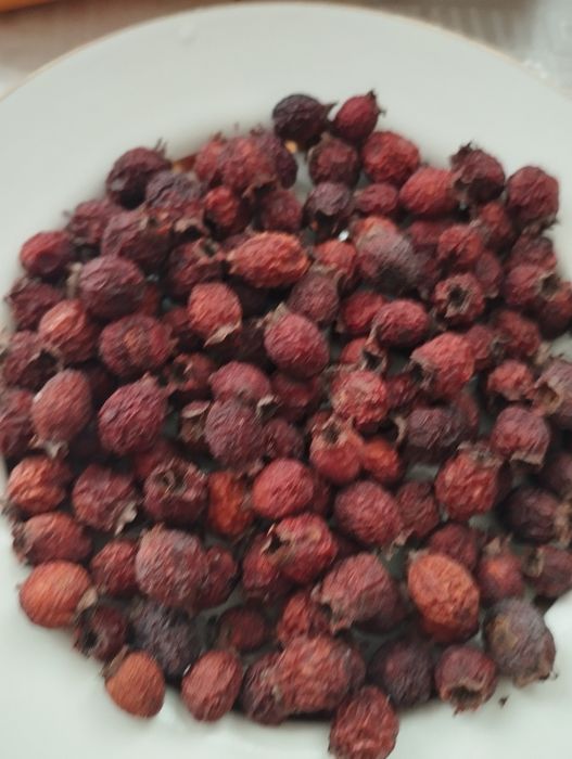 Пропоную висушену в електросушарці цьогорічну шипшину