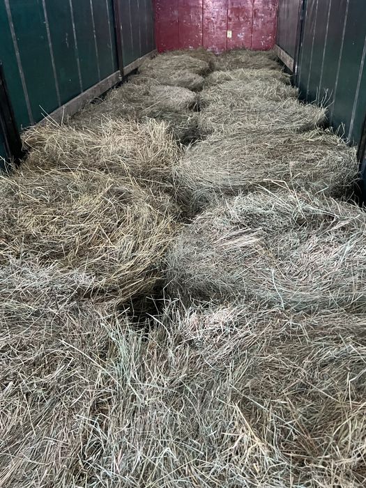 Сіно / є доставка