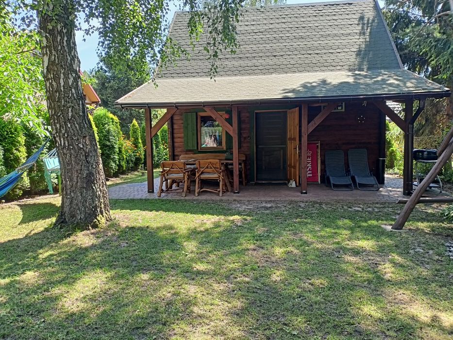 Domek do wynajęcia