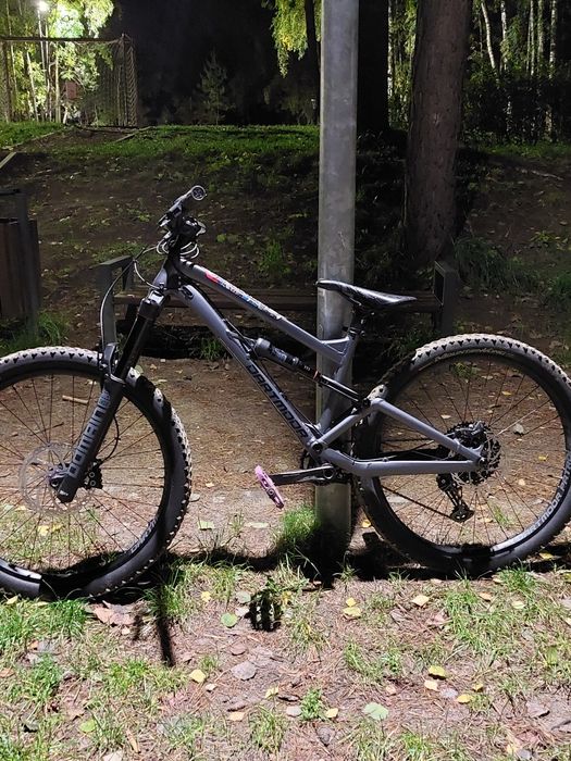 Rower dartmoor blagbird