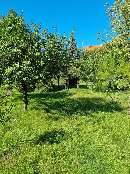 Działka ROD Bajki, Kolonia: Narcyzy - Sztabowa