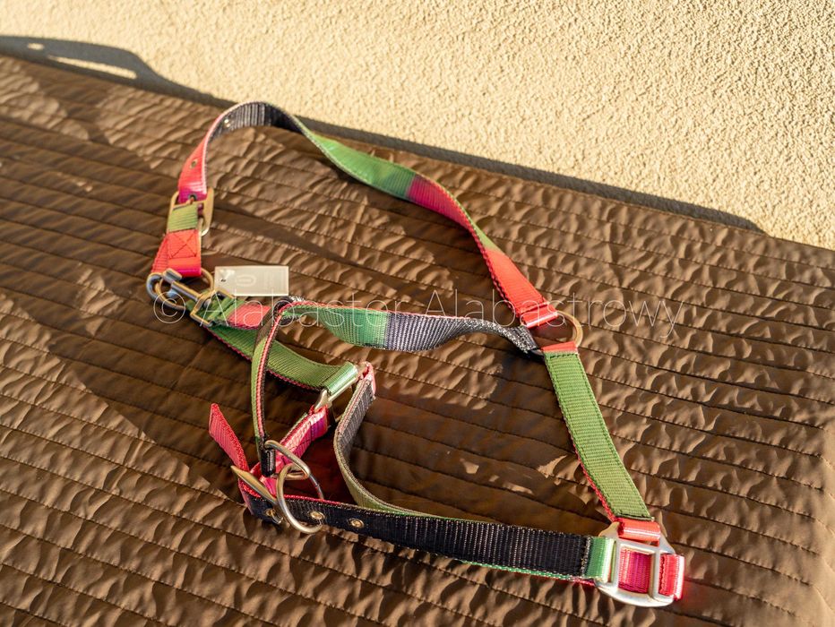 Kantar Imperial Riding Diva Pink full