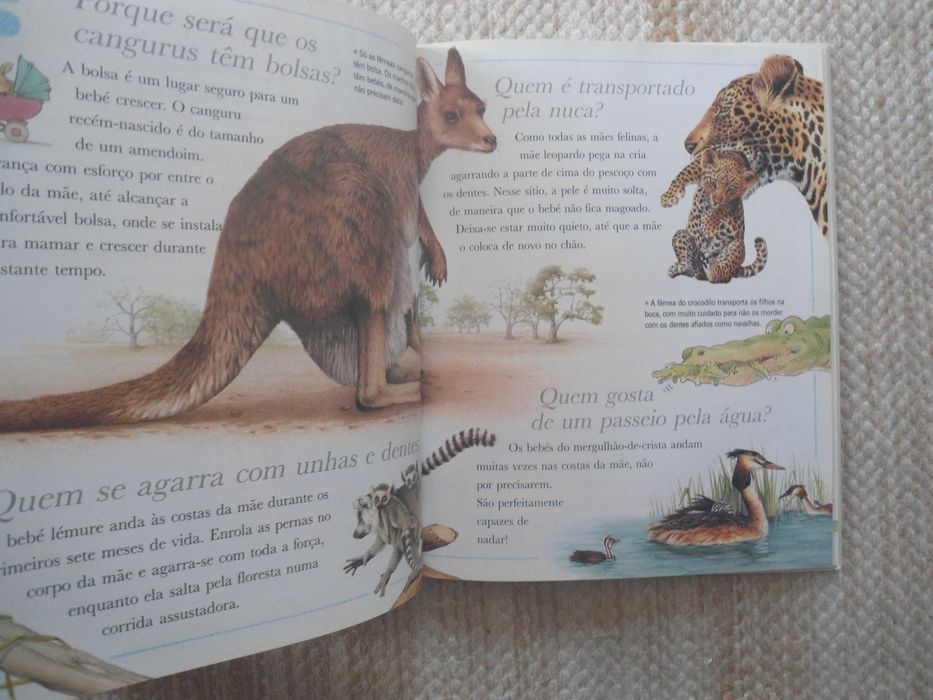 Porque será que os Cangurus têm bolsas e outras perguntas