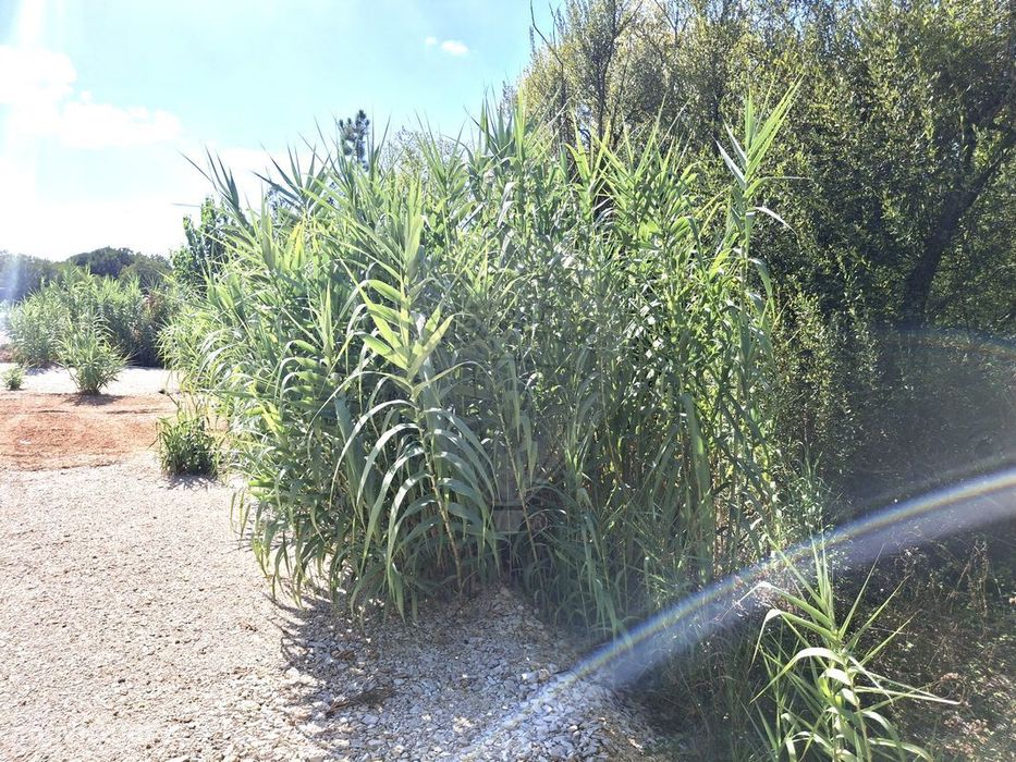 Terreno  para venda