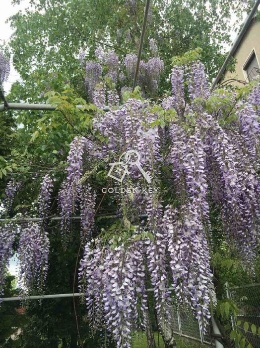 Продаж VIP будинку у Вільному