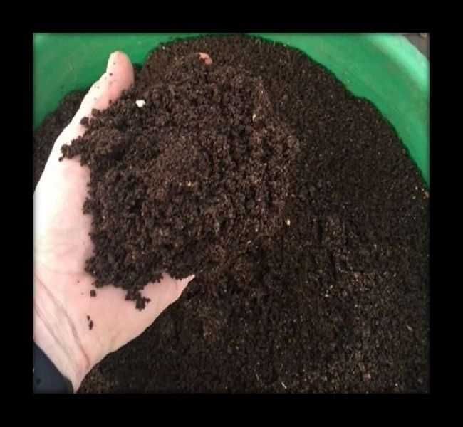 Worm castings / Vermicomposto