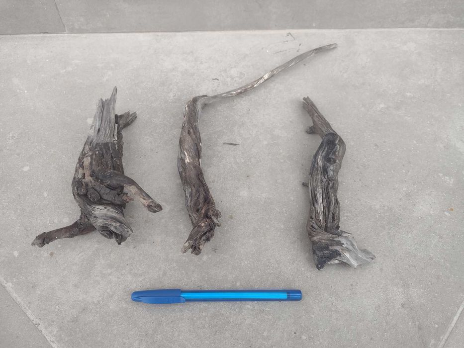 Botânicos e Troncos para Aquário (faço envios)