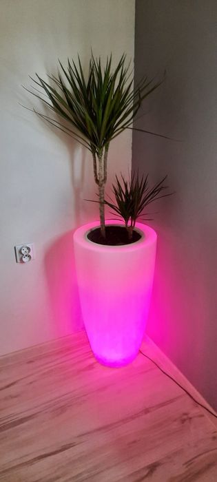 Doniczka Led elho