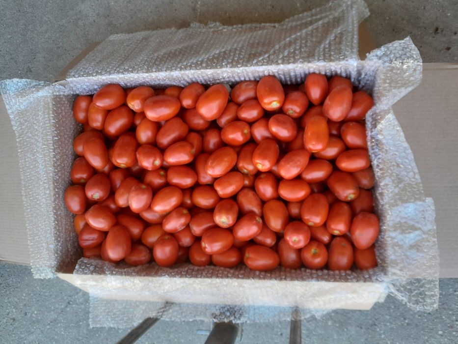 Pomidory na przetwory box 20 kg wysyłka cała Polska