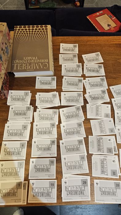 Naklejki panini wwf Gdańsk