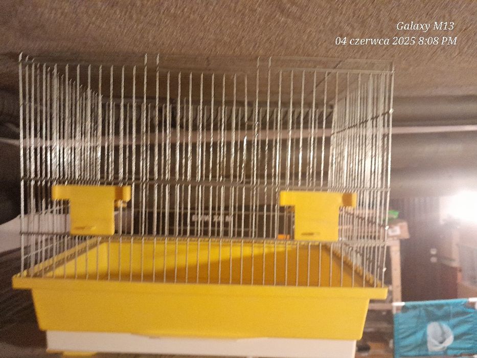 Klatka dla kanarka stan bdb