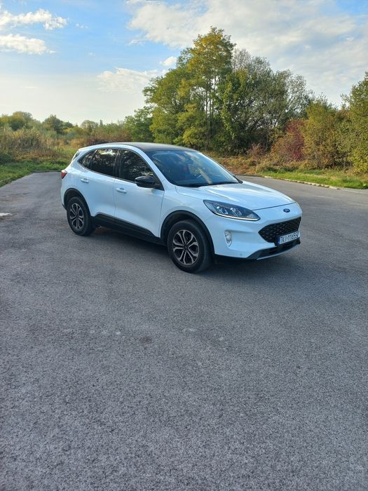 Ford Kuga Ładny.