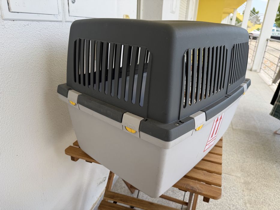 Cauxa de transporte para animais