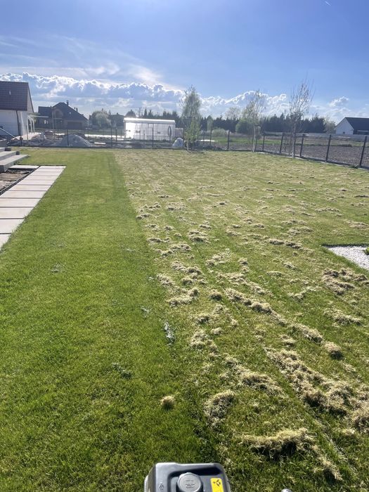 Aeracja Rurkowa, Wertykulacja, Regeneracja Trawnika