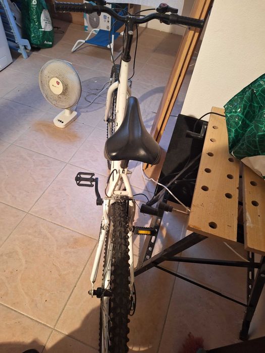 Bicicleta adulto btt