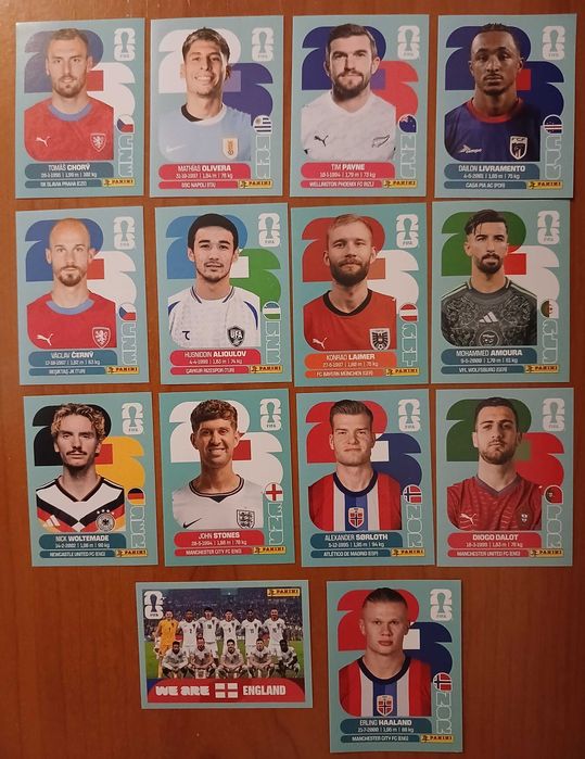 14 Cromos Panini