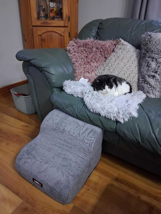 Schody schodki dla psa szczeniaka do kanapy ułatwiające wchodzenie