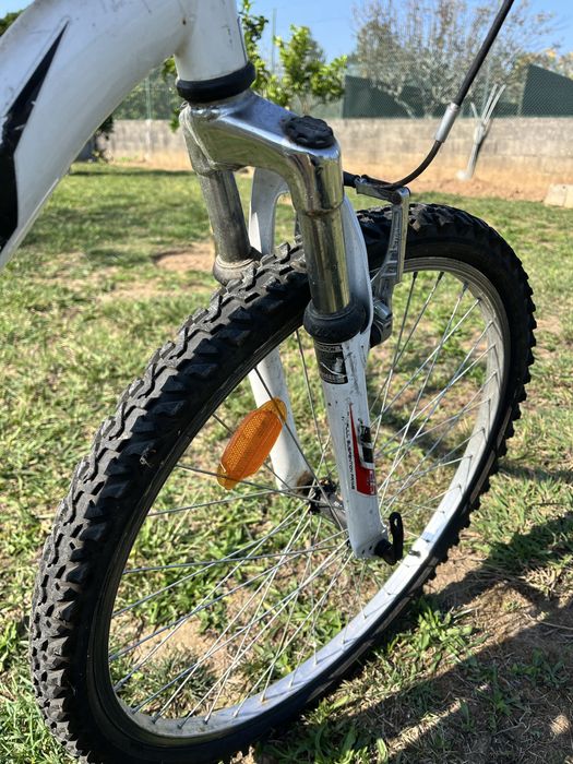 Bicicleta de montanha