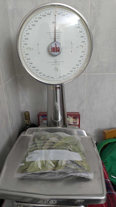 Folhas de Louro Secas Naturalmente - Indicadas para Cozinhar