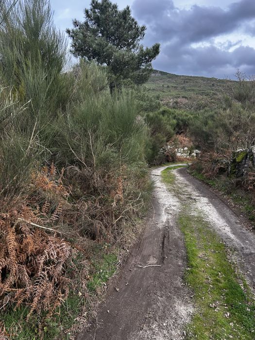 Terreno com Ruina - Serra do Marão