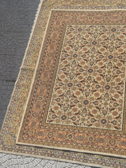 Carpetes de sala508721525991690243