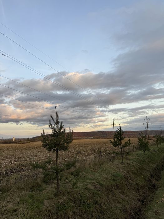 Земельна ділянка с. Ямниця