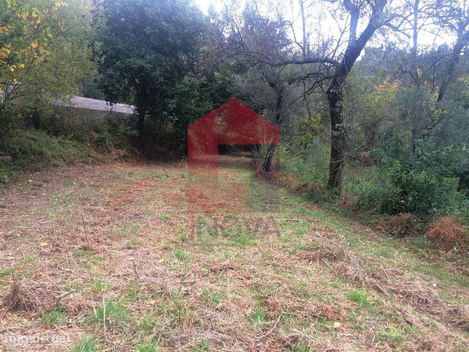 Terreno agrícola, Portela das Cabras