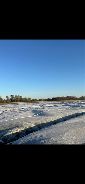 Агроволокно 17г/м2 белое укрывное ддя рассады, для теплиц, от заморозк