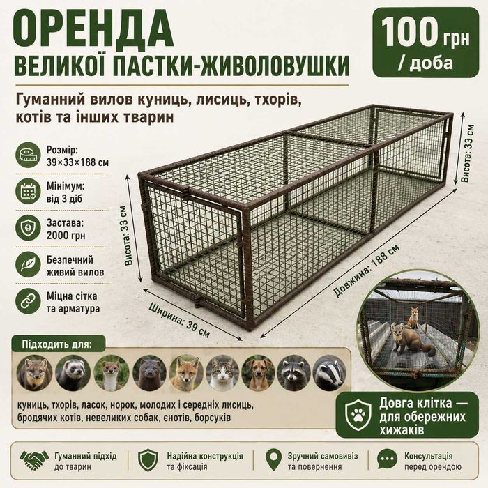 Оренда великої пастки-живоловушки (гуманний вилов куниць, лисиць, ...)