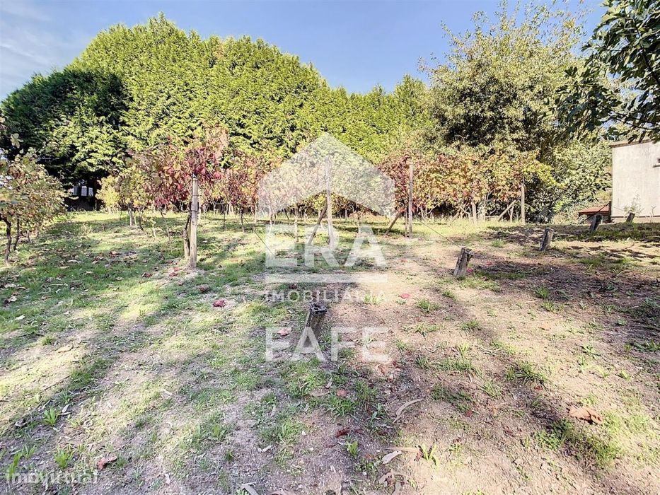 Terreno com 2.448 m2 em Silvares S. Martinho