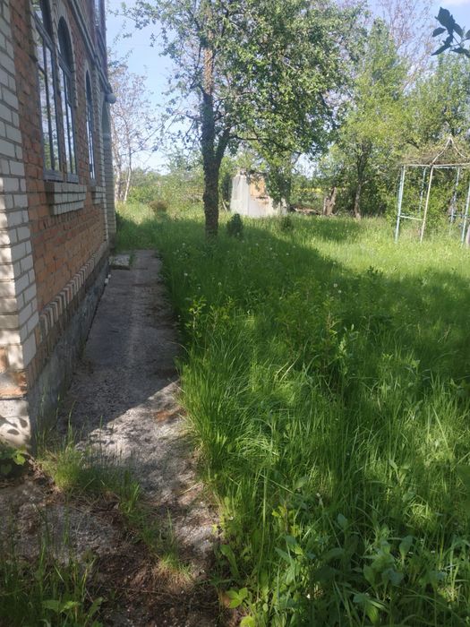 Продам будинок в с. Рибаче (Петрик)