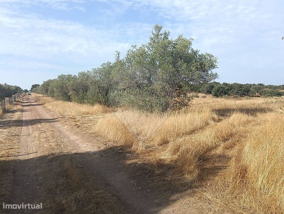 Terreno  para venda