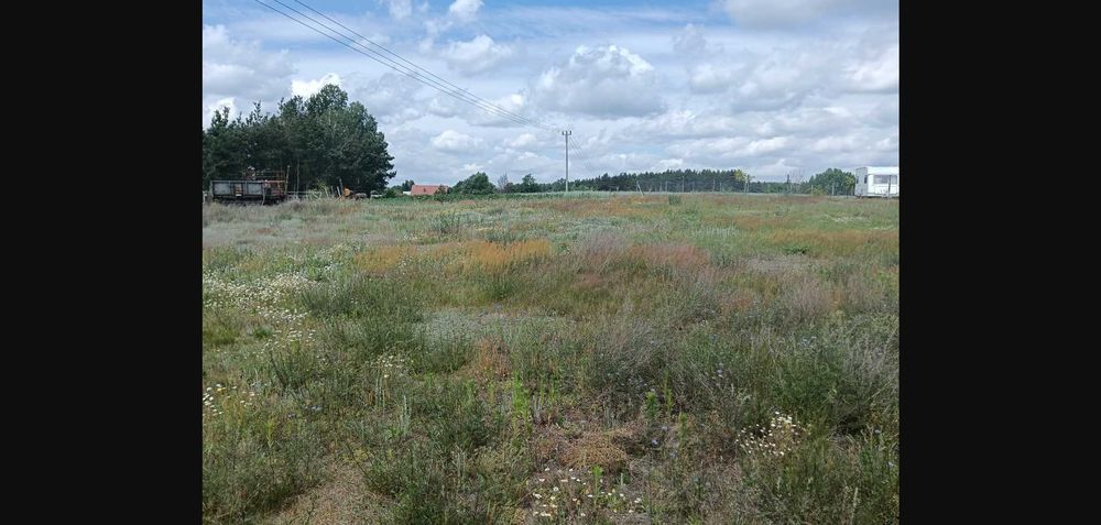 Sprzedam działkę budowlaną w Jeruzalu