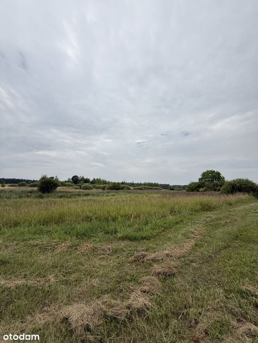 Kłodowo | dwie działki rolne 8,4 ha przy prywatnym osiedlu i jeziorze - Widok 3