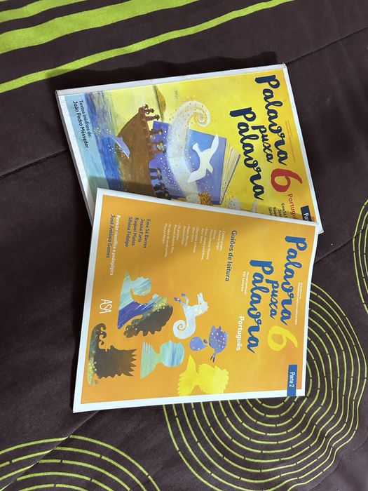 Livros 6 ano como novos