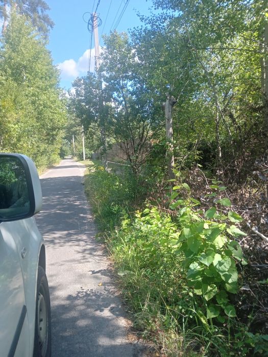 Терміново! 20 соток Земельна ділянка! Торг