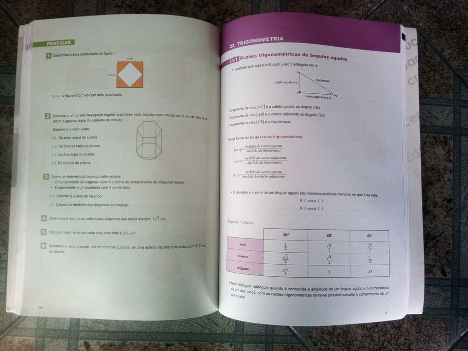 Livros de preparação para a Prova Final do 9º ano, IMPECÁVEIS!