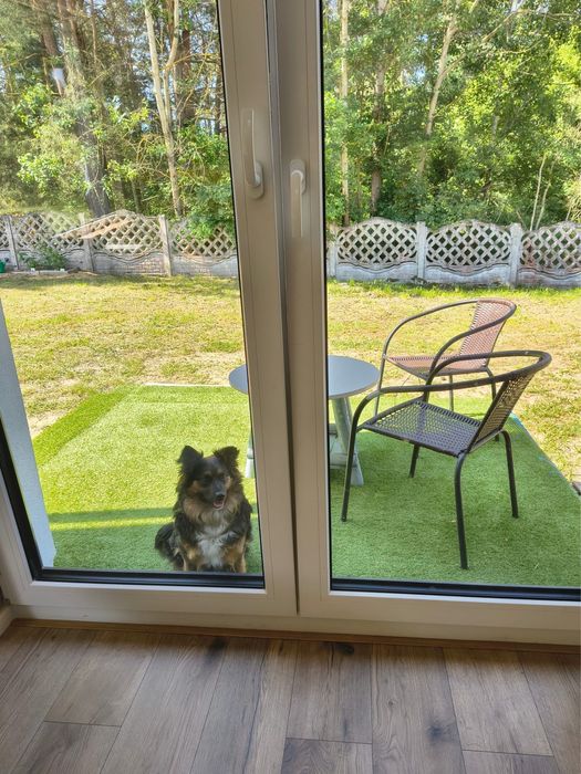 Dom blisko jeziora - woj. Lubuskie