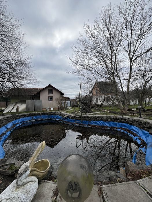 Будинок з банею та ставком