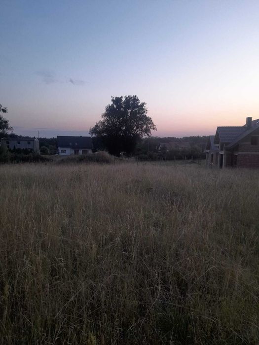 Zdjęcie 6