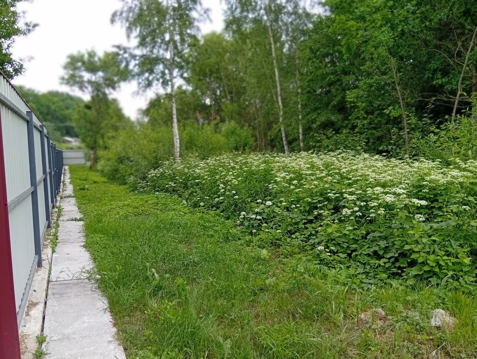 Продам земельну ділянку під забудову в Денишах