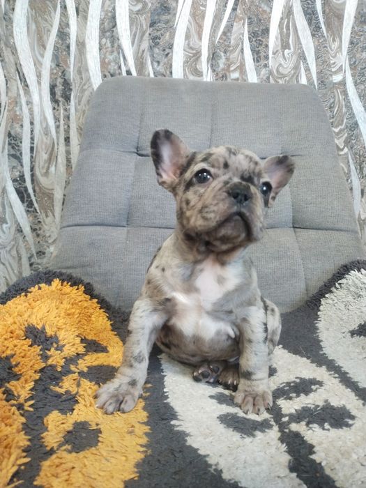 В пошуках родини