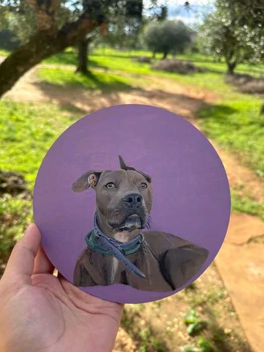 Quadros de pets feitos á mão