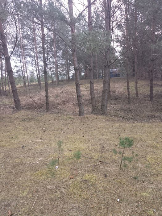 Działka koło rzeki Wda