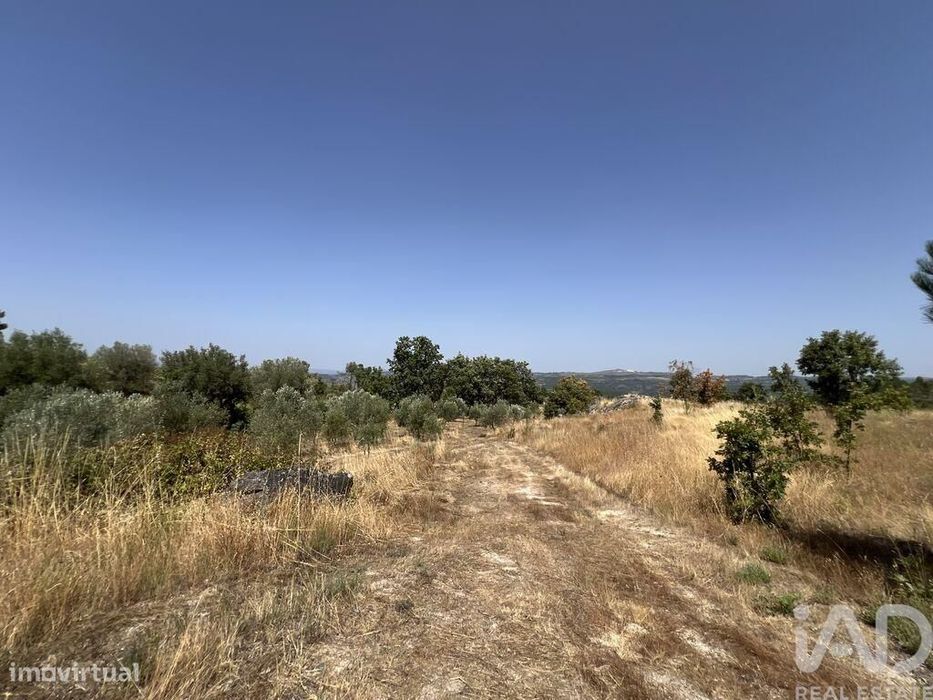 Terreno em Sernancelhe e Sarzeda de 44527,00 m2