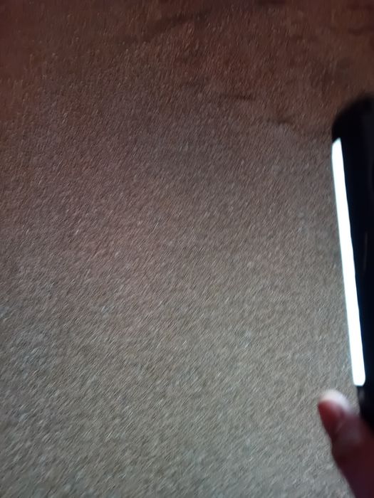 Sprzedam zboże paszowe i do siewu