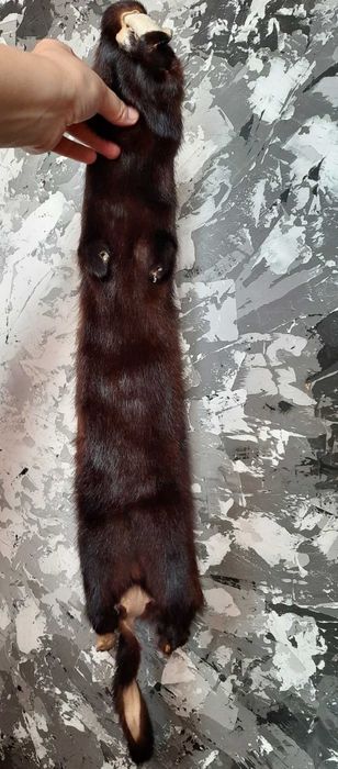 Шкірка шоколадної норки