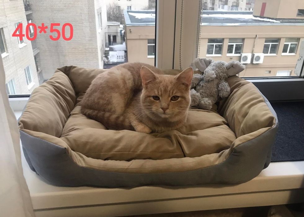 Лежанка для собаки кота лежак автокресло для собак